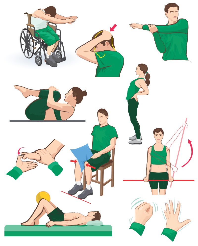 Ilustração para cartilha de fisioterapia.